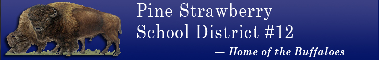 Pine Strawberry Elementary School District No. 12